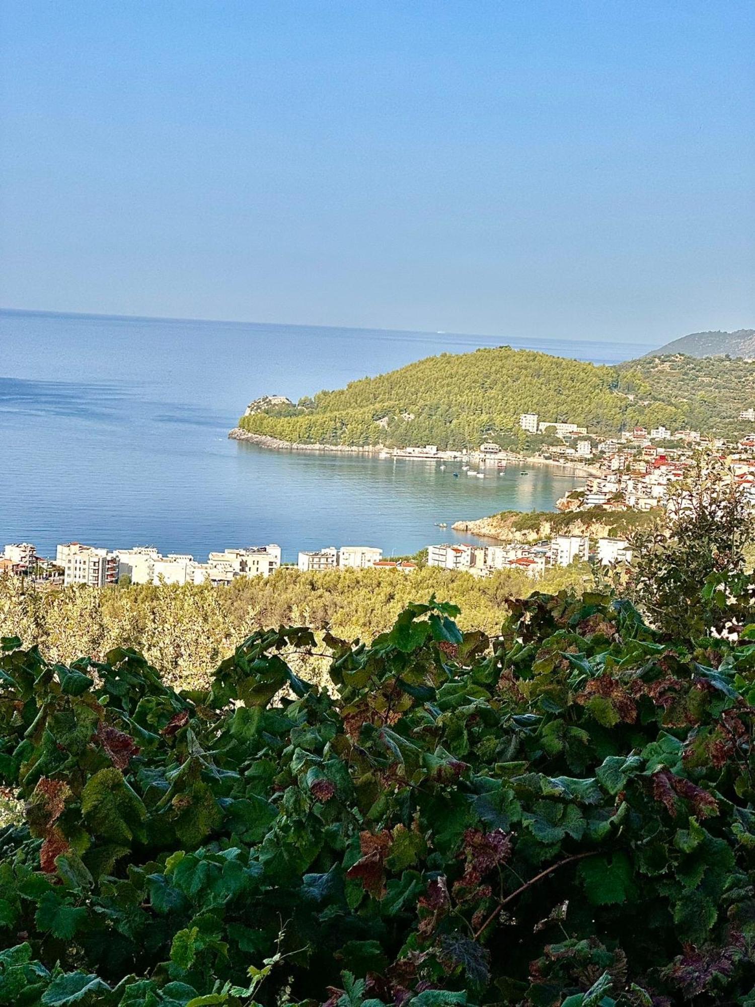 Elea Guesthouse Химара Экстерьер фото